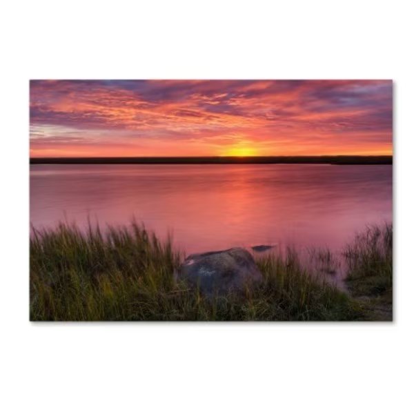 Michael Blanchette Photography 'Windy Marsh' Canvas Art, 22x32, Trademark Fine Art, Mfr#: ALI3968-C2232GG